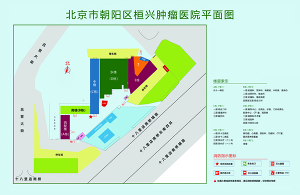 操同事骚逼视频北京市朝阳区桓兴肿瘤医院平面图